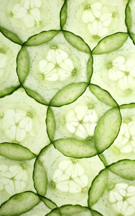  Plant Extracts